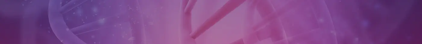 &nbsp;